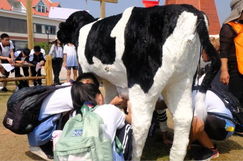 打卡 衢州又一批研学基地公布,解锁新玩法